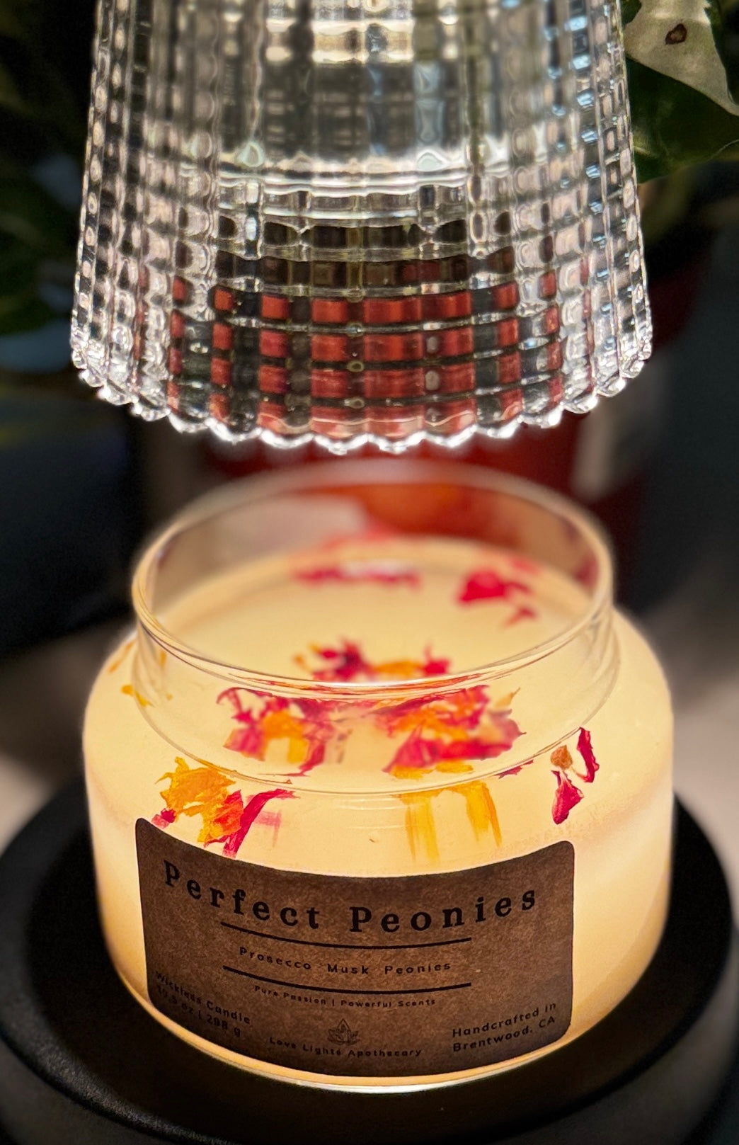 Perfect Peonies 10.5 oz WICKLESS candle